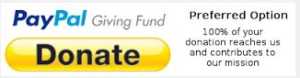 Paypal logo with donate yellow button